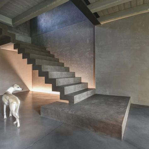 Cement Staircase, Micro Cement Bathroom, Microcement Floor, Microcement Bathroom, Microcement Walls, Grey Floors, Cement Bathroom, Micro Cement, Barber Shop Interior