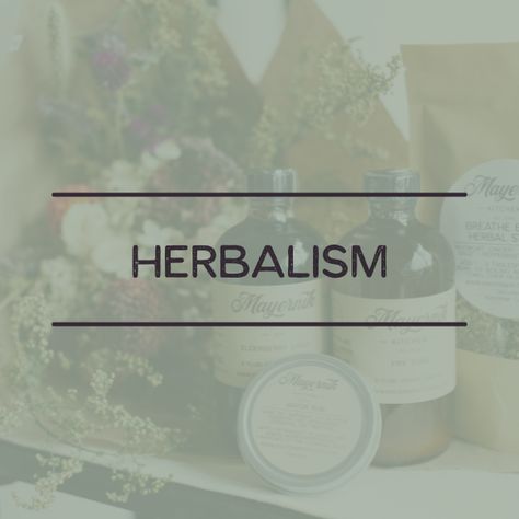 Herbalist Lifestyle, Herbal Garden Ideas, Herbalist Kitchen, Herbalist Garden, Herbal Salve Recipes, Herbal Garden, Herbal Education, Medicine Tips, Herbal Remedies Recipes