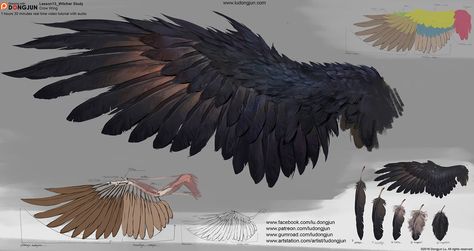 Dongjun Lu is creating Concept Art & Illustration Lessons | Patreon Wings Digital Art, Illustration Lessons, Drawing Wings, Crow Drawing, How To Render, Wings Drawing, Wings Art, Concept Art Drawing, Digital Painting Tutorials