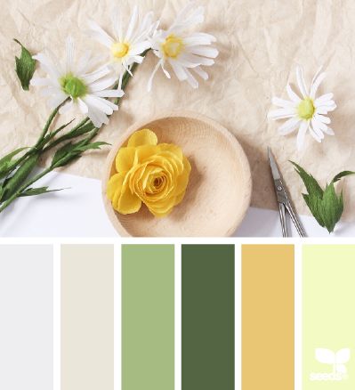 Petaled paper Design Seed, Seeds Color, Yellow Design, Bathroom Paint Colors, Kitchen Paint Colors, Grey Paint Colors, Room Paint Colors, Design Seeds, Bath Room