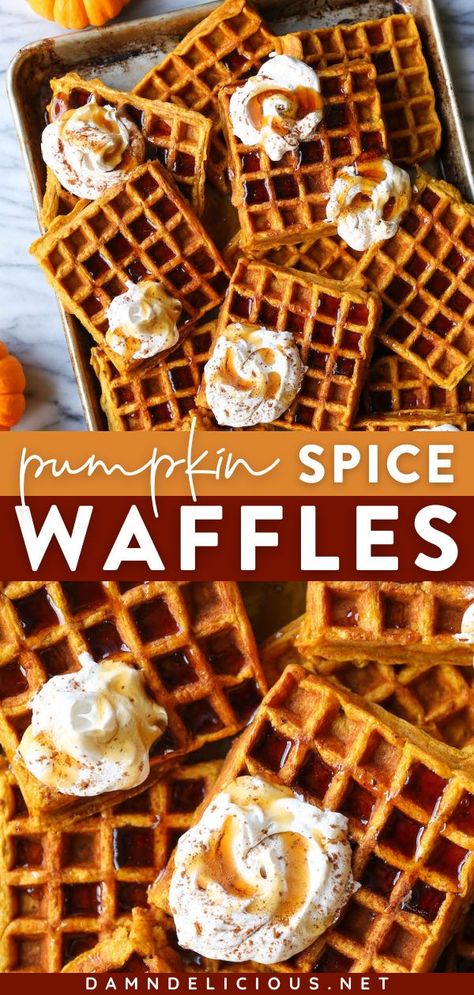 You'll want to have this Christmas morning food all year long! Your holiday brunch menu must have the BEST pumpkin spice waffle recipe. Crispy golden on the outside and fluffy on the inside, these pumpkin waffles are so good! Pumpkin Spice Waffles, Pumpkin Recipe, Pumpkin Waffles, How To Make Pumpkin, The Best Breakfast, Fall Breakfast, Fall Food, Waffle Recipes, Breakfast Brunch Recipes