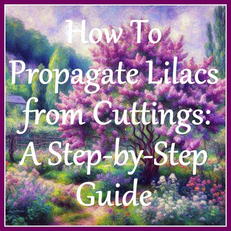 How to Propagate Lilacs from Cuttings: A Step-by-Step Guide How To Propagate Lilacs From Cuttings, Propagating Lilacs From Cuttings, Propagating Lilacs, Lilac Plant, Lilac Bushes, Lilac Tree, Mini Greenhouse, Watercolor Plants, Food Forest