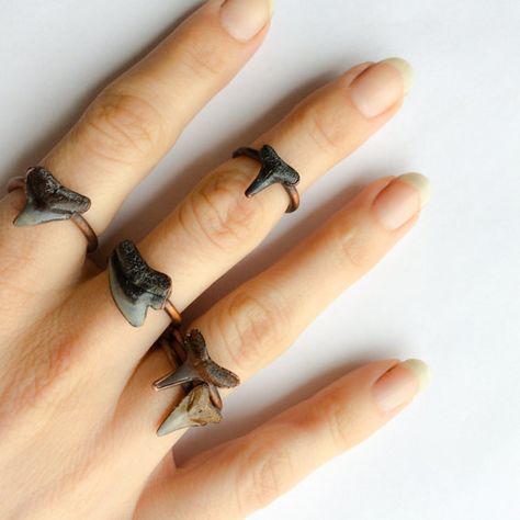 Shark tooth ring Sharkstooth ring Fossil Sharktooth by HAWKHOUSE Sharktooth Jewelry, Shark Tooth Jewelry, Shark Teeth Crafts, Shark Tooth Ring, Shark Teeth Jewelry, Shark Jewelry, Sharks Tooth, Tooth Ring, Small Shark