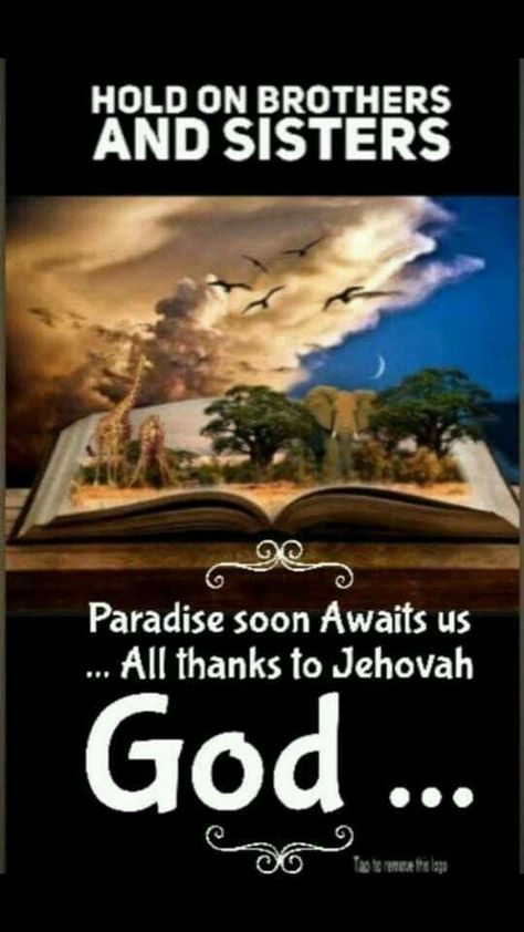 Jw Sayings, Encouraging Affirmations, Regular Pioneer, Jw Memes, Jehovah Paradise, Jehovahs Witnesses, Jw Humor, Jehovah Quotes, Jehovah Witness Quotes