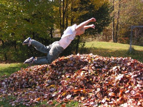 Leaf Pile....do you still jump?  #fall #leaves Music Subject, Leaf Pile, Pile Of Leaves, Funny Dog Jokes, Dog Jokes, Back In My Day, Friday Workout, Those Were The Days, Big Leaves