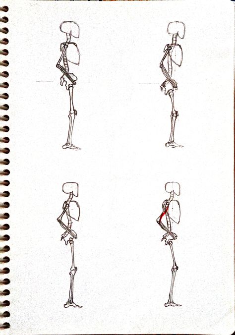 human skeleton side view practice How To Draw A Skull Side View, Skeleton Side Profile, Skeleton Side View, Skull Side View, Analytical Drawing, Skeleton Back, Skull Anatomy, Skeleton Anatomy, Profile Drawing