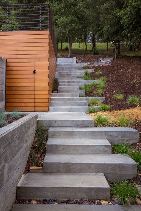 Orinda house Stairs In Landscape, Poured Concrete Steps, Stairs To Pool, Contour Landscape, Steep Gardens, Patio Stairs, Landscape Stairs, Landscape Steps, Garden Stairs