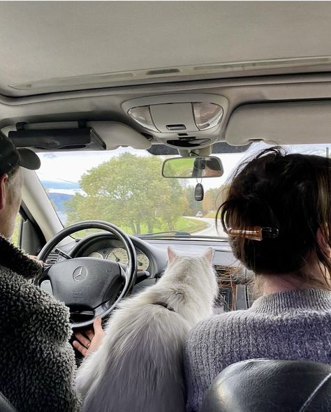 Cat Family Aesthetic, Road Trip With Cat, Family Road Trip Aesthetic, 2025vision Board, Truck Aesthetic, Traveling With Cats, Road Trip Vibes, Roadtrip Aesthetic, Road Trip With Dog