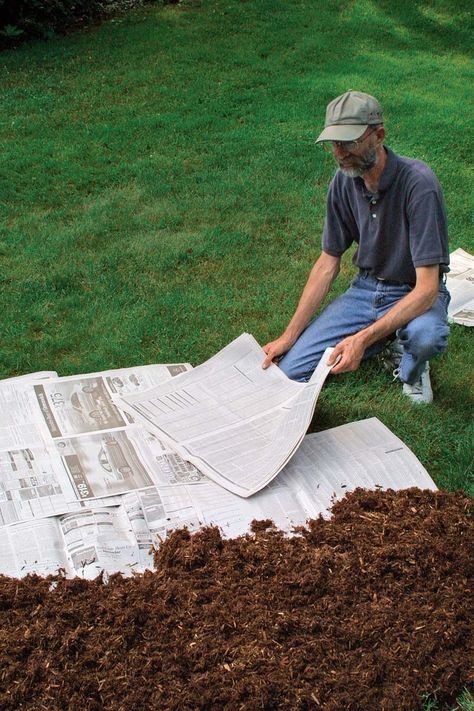 Four Ways to Remove Grass for a Garden Bed How To Remove Grass, Shed Landscaping, Lasagna Gardening, Flower Bed Edging, Cleaning Painted Walls, Garden Flower Beds, Front Porch Ideas Curb Appeal, Planter Design, Starting A Garden