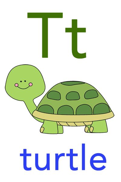 T For Turtle, Letter T Flashcards, T Is For Turtle, Abc Flashcards Printable, Alphabet Flash Cards Printable, Free Flashcards, Learn Abc, Flashcards For Toddlers, Letter Flashcards