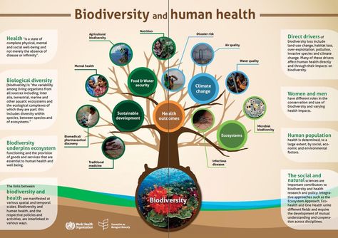 BIODIVERSITY and HUMAN HEALTH. #biodiversity #groworganic #healthysoil #healthyplants #healthyecosystems Water Security, Animal Agriculture, Social Well Being, Green Power, Invasive Species, Energy Technology, Green Energy, Year 2024, Goods And Services