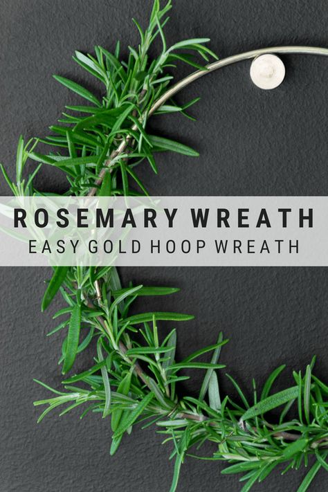 A modern Christmas decor wreath idea with rosemary: Learn how to make a small rosemary wreath #rosemarywreath Rosemary Wreath, Herb Wreath, Asthma Relief, Christmas Garden Decorations, Gold Wreath, Modern Christmas Decor, Christmas Garden, Garden Decorations, Holiday Wreath