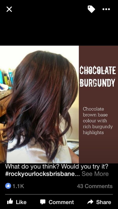 Butter Blonde, Mahogany Hair, Hair Color Mahogany, Hair Color Chocolate, Hair Color Burgundy, Balayage Blonde, Hair 2024, Burgundy Hair, Hair Color Ideas For Brunettes