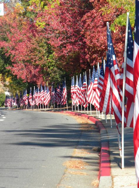 Parade of flags in Paradise, California Paradise House, Paradise California, Blue Board, California Girl, Living On The Edge, Camp Fire, Covered Bridge, 4th Of July Decorations, America Flag