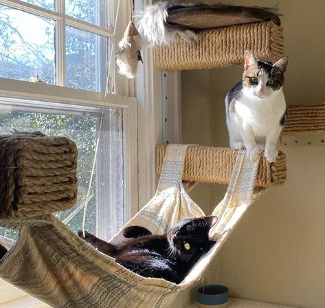 Build an Amazing DIY Cat Tree Tower: 7 Free Plans and Ideas Corner Cat Hammock Diy, Small Home Cat Ideas, Cat Tree In Front Of Window, Pallet Cat Tower, Diy Cat Tree On Wall, Window Cat Tree, Homemade Cat Tower Diy, Cat Tree House Diy Ideas, Cute Cat Tree Diy