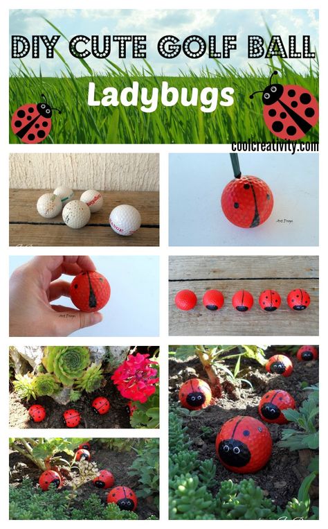 DIY Cute Golf Ball Ladybugs Ladybug Craft, Golf Birthday Gifts, Cute Golf, Golf Ball Gift, Golf Ball Crafts, Cute Ladybug, Best Golf Clubs, Ladybug Crafts, Golf Simulators