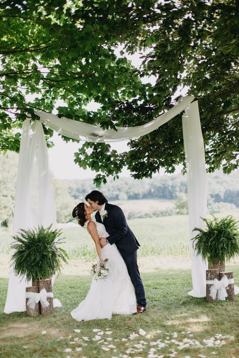 Outdoor Wedding Arch in the Trees Outdoor Wedding Arch Tree, How To Decorate A Tree For A Wedding, Natural Wedding Arch Outdoor Ceremony, Under A Tree Wedding, Wedding Arches Trees, Simple Isle Decorations Wedding Outdoor Ceremony, Wedding Under Tree Decoration, Flowerless Wedding Arch, Diy Wedding Altar Outdoor