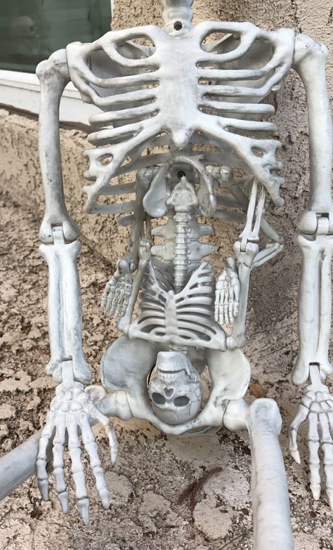 This is a pregnant skeleton I came up with on the fly. Skeleton Doctor, Pregnant Halloween, Halloween Home Decor, Holiday Entertaining, The Fly, Halloween House, Halloween Decor, Garden Sculpture, Skeleton