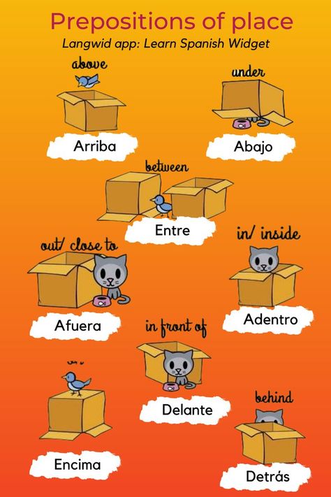 Spanish Learning Apps, Spanish Flashcards, Language Learning App, Useful Spanish Phrases, Spanish Words For Beginners, Basic Spanish Words, Learning Spanish For Kids, Spanish Curriculum, Learn Language