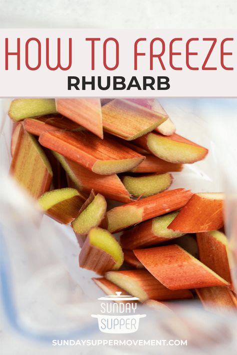 How to Freeze Rhubarb Can You Freeze Rhubarb, Rhubarb And Apple Crumble, Easy Rhubarb Recipes, Rhubarb Chutney, Freeze Rhubarb, Rhubarb Sauce, Freezing Vegetables, Cooking Conversions, Rhubarb Plants