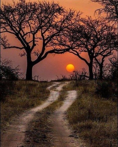 Photo RP @sunset731 #Cloud #Clouds #BeautifulCloudySkies buff.ly/2DSrAM9 Justice Quotes, Kruger National Park, Dirt Road, Alam Yang Indah, Sunset Beach, Africa Travel, Beautiful Sunset, Sunrise Sunset, Beautiful World