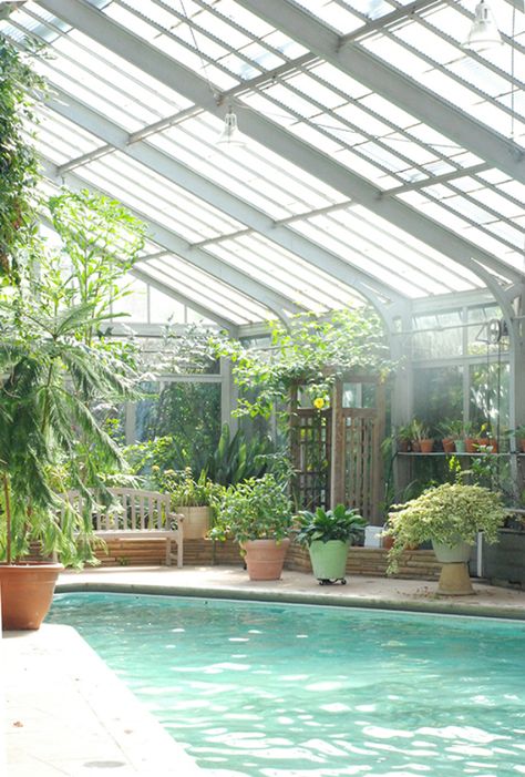 How cool is this pool greenhouse?! Beautiful Greenhouse, Pvc Greenhouse, Best Greenhouse, Outdoor Greenhouse, Large Greenhouse, Piscina Interior, Greenhouse Design, Potting Tables, Indoor Swimming Pool