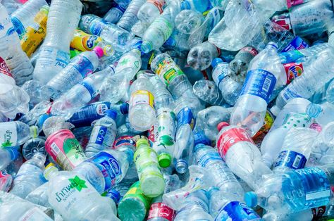 Biodegradable Waste, Recycle Water Bottles, Green Bin, Plastic Drink Bottles, Recycling Process, Types Of Plastics, Evian Bottle, Biodegradable Plastic, Dasani Bottle