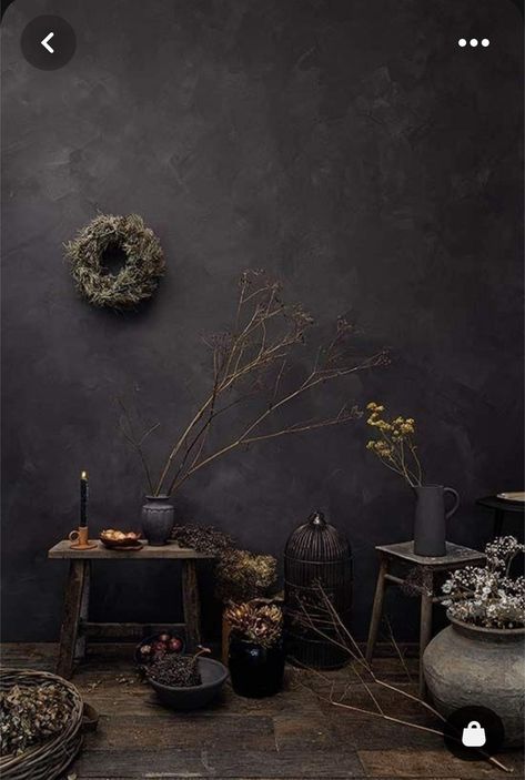 Black Wall Room Ideas, Dark Limewash, Black Limewash Wall, Dark Limewash Walls, Wabi Sabi Black, Lime Wash Walls, Limewash Walls, Ruangan Studio, Autumn Interior