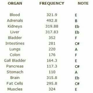 USING TUNING FORKS our organs have a different vibration. When someone is suffering it normally means that that specific organ is out of a healthy vibration. Hz Frequencies, Frequency Chart, Quantum Energy, Frequency Healing, Healing Tones, Tuning Forks, Chakra Health, Solfeggio Frequencies, Sound Frequencies