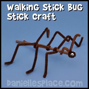 Walking Stick Bug, Bug Birthday Party, Bug Craft, Bug Activities, Insect Unit, Insects Preschool, Bugs Preschool, Twig Crafts, Insect Activities