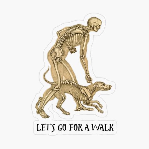 Animal Frame, Man And His Dog, Human And Animal, Go For A Walk, 2023 Vision, Skeletal, Vintage Artwork, X Ray, Dog Walking