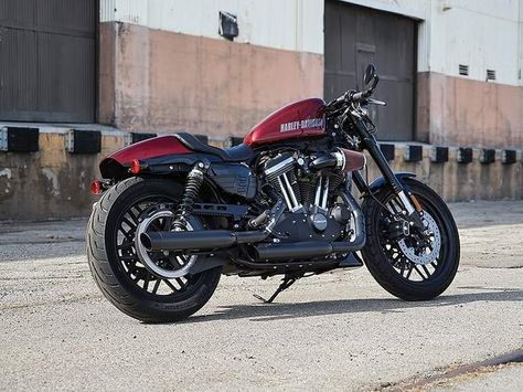 Harley-Davidson roadster Harley Roadster, Harley Davidson 1200, Low Rider S, Motorcycle Icon, Harley Davidson Roadster, Hd Sportster, Cafe Racer Moto, Harley Davidson Trike, Tracker Motorcycle