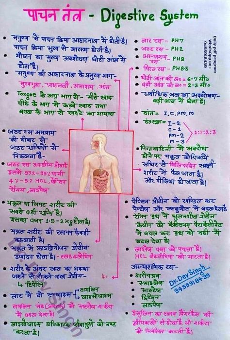 Gk Knowledge In Hindi, Gk Video, Neet Notes, Gk Question In Hindi, Upsc Notes, India Gk, Human Body Facts, Math Quotes, Basic Anatomy And Physiology