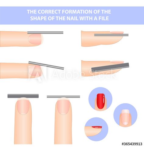 Textbook on the formation of nails. the shape of a square nail. #AD , #nails, #formation, #Textbook, #nail, #square Nail Square, File Nails, Square Nail, Design Display, Square Nails, Display Ideas, Nail File, Diy Nails, Nail Inspo