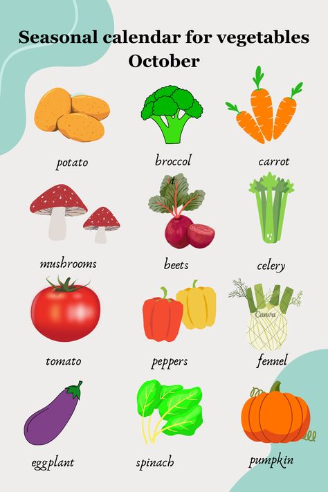 Seasonal calendar for vegetables October Seasonal Calendar, Fennel, Beets, Eggplant, Celery, Spinach, Carrots, Stuffed Mushrooms, Stuffed Peppers