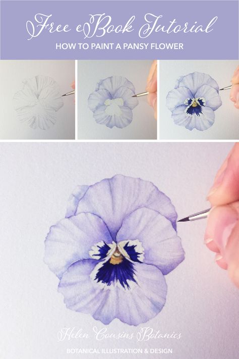 Hur Man Ritar Blommor, Akvarel Illustration, Scientific Drawing, Botanical Sketchbook, Water Paint, Flower Drawing Tutorials, Watercolor Beginner, Watercolor Flowers Tutorial, Learn Watercolor