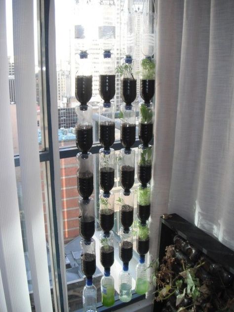 recycling ideas 25 Reusing Plastic Water Bottles, Plant Herbs, Indoor Greenhouse, Deco Nature, Bottle Garden, Aquaponics System, Hydroponic Gardening, Indoor Gardening, Hanging Garden