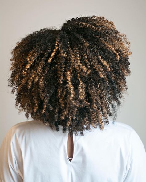 Curly Hair Color Ideas, Hair Steamer, Curly Hair Color, Hair Steamers, Colored Curly Hair, Pelo Afro, Dyed Natural Hair, Wash And Go, Natural Hair Inspiration