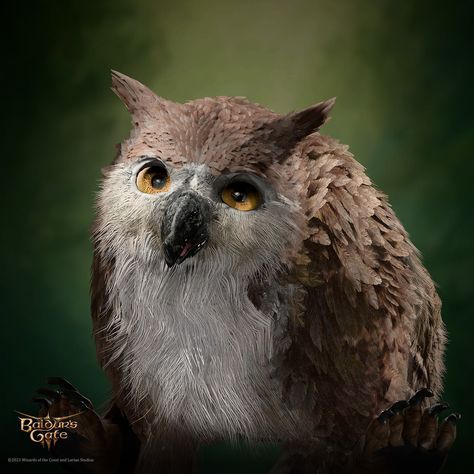 Owlbear Bg3, Baldur's Gate Portraits, Arcane Trickster, Roblox Robux, Baldur's Gate 3, Baldurs Gate, Animal Portraits, 2d Design, Baldur's Gate