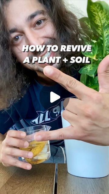 Armen Adamjan on Instagram: "How to revive a dead-looking plant or giving a plant a new home! 🌱🤩
.
.
.
.
#plants #hacks #tipsandtricks #diy #planttips #grow #howto #soil #upcycle #creativeexplained" Iron For Plants Diy, Plant Cleaner Diy, Home Made Decorations Ideas Creative, How To Revive Plants, Planting Hacks How To Grow, Plant Hacks Tips, Plant Hacks Diy Projects, Replanting Plants, Sick Plants