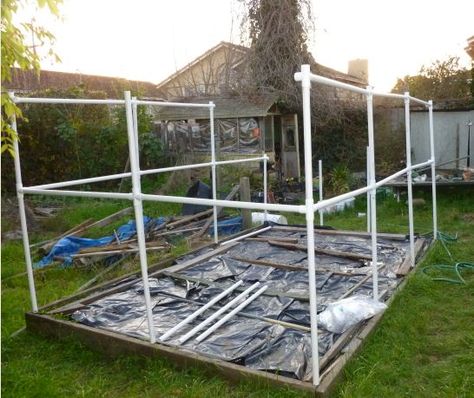 half_built Pvc Structures Frames, Pvc Greenhouse Plans, Tree Protection, Pvc Pipe Ideas, Aluminum Screen Doors, Diy Greenhouse Cheap, Pvc Greenhouse, Pvc Garden, Green House Ideas