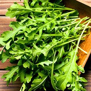 SEED – ROCKET Rocket Plant, Baby Green, Leafy Plants, Vegetable Gardens, Leafy Vegetables, Plant Spacing, Hardy Plants, Growing Seeds, Seed Starting