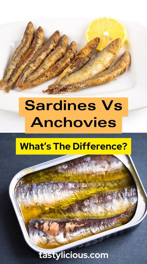 sardines vs anchovies taste | sardines vs anchovies nutrition | how to eat anchovies and sardines | keto recipes dinner | healthy gut recipes | keto diet recipes | yummy food How To Eat Sardines, Sardine Recipes Canned, Anchovy Recipes, Gut Recipes, Healthy Gut Recipes, Best Fish Recipes, Sardine Recipes, Canned Fish, Recipes Yummy