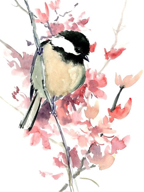 Chickadee Illustration, Cherry Blossom Watercolor, Bird Watercolor Paintings, Chickadees, Blossoms Art, Illustration Wall Art, Spring Blossom, Watercolor Bird, Affordable Wall Art