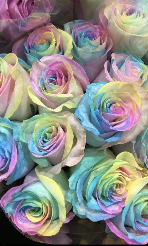 Colored Roses, Rose Day, Purple Flowers Wallpaper, Rose Flower Wallpaper, Flowery Wallpaper, Flower Iphone Wallpaper, Rainbow Roses, Cute Flower Wallpapers, Colorful Roses