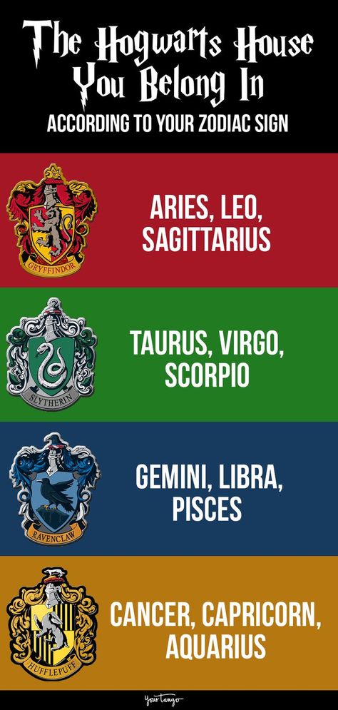 Harry Potter Zodiac Signs, Harry Potter Zodiac, Zodiac Houses, Gryffindor Ravenclaw, Which Hogwarts House, Harry Potter Hogwarts Houses, Harry Potter House, Harry Potter Hufflepuff, Harry Potter Magic