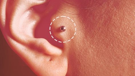 Tragus Piercings Are Everywhere Right Now — But Should You Get One? Tragus Ear Piercing Ideas, Anti Tragus Piercing Ideas, Tragus Piercing Healing Process, Ear Piercing Ideas Tragus, Pretty Ear Piercings Classy, Tragus Piercing Ideas, Double Tragus Piercing, Keith Thompson, Migraine Piercing