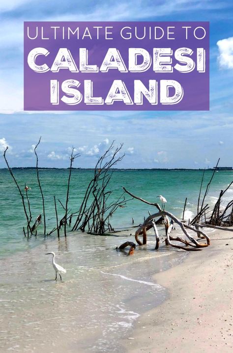 This is the ultimate guide to Caladesi Island! It contains everything you need to know + answers to all of your questions + information on how to walk to Caladesi Island State Park! Caladesi Island, Caladesi Island State Park, Where Is Bora Bora, Florida Travel Destinations, Best Island Vacation, Lanai Island, Clearwater Beach Florida, Honeymoon Island, Florida Adventures