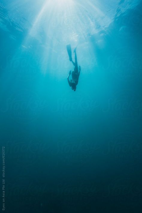 Amed Bali, Free Diver, Diving Underwater, Navy Diver, Water Frame, Bottom Of The Sea, Underwater Photographer, Real Mermaids, Free Diving