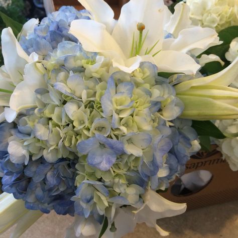 Hydrangea and lilies bouquet Hydrangea And Lily Bouquet, Lily And Hydrangea Bouquet, Josie Wedding, Lilies Bouquet, Blue Hydrangea Bouquet, Bouquet Hydrangea, Hydrangea Flower Arrangements, Hydrangea Bouquet Wedding, Lily Wallpaper